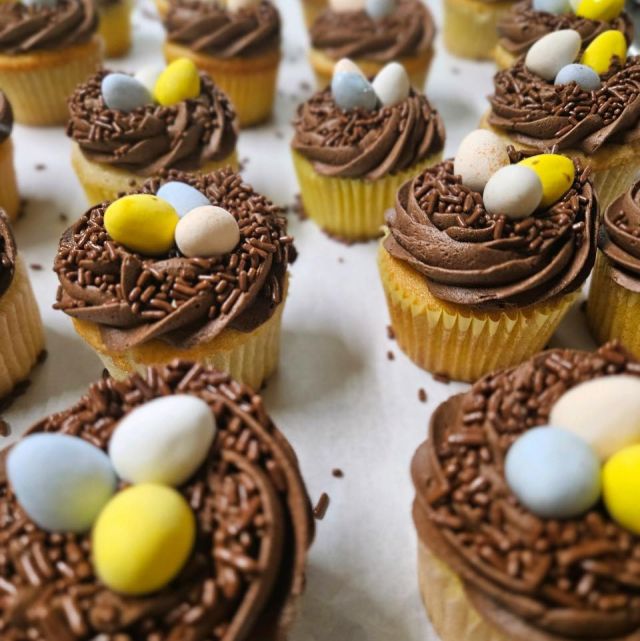 Hop into our store to indulge in sweet treats that will make your celebrations egg-stra special! 🐰🌷🧁
.
.
.
#diemandfarm #wendellma #farmstore #shoplocal #buylocal #familyfarm #westernmass #franklincounty #pioneervalley #othersidema #springishere #easter