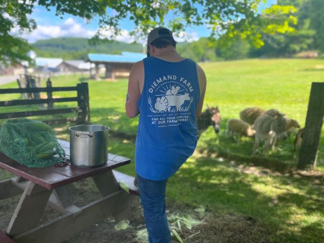 Tomorrow is the big day and we're counting down the hours! We're busy getting everything ready, including shucking fresh corn from Ciesluk Farmstand. Join us for an unforgettable Lunch on the Lawn, happening tomorrow 7/13 from 1pm-3pm. Feast on smoked baby back ribs, chicken breast, turkey legs, local corn on the cob, homemade mac & cheese, and our famous cornbread. As if that's not enough, 2 Car Garage will be performing live to make the day even more special! Food is limited, so secure your spot now using the link in our bio. Don't miss out on this fun afternoon!
.
.
.
#diemandfarm #wendellma #farmstore #shoplocal #buylocal #grownheresoldhere #familyfarm #westernmass #franklincounty #pioneervalley #bealocalhero #othersidema #visitwesternma #igers413 #413life #lunchonthelawn #smokehouse @2cargaragelove