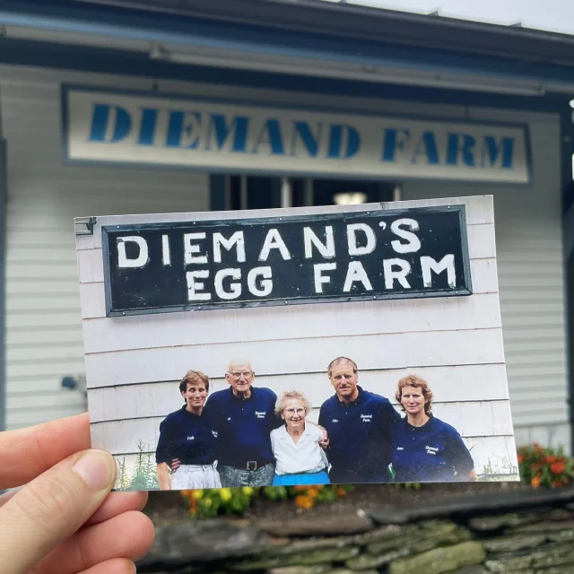 At our farm, we take pride in our heritage. As a third-generation farm, we're dedicated to continuing the legacy that began with Al and Elsie, who built this farm from the ground up. Their passion and hard work were passed down to their children and grandchildren who have kept our family dream alive.

When you choose Diemand Farm, you're not just buying the freshest chicken around; you're supporting a family tradition. Every chicken we raise is a testament to the care, commitment, and love we have for our land and our community.

Join us in preserving our family's legacy. Stop by today and take home the finest, freshest chicken—raised with care and delivered with pride.
.
.
.
#diemandfarm #wendellma #farmstore #shoplocal #buylocal #grownheresoldhere #familyfarm #westernmass #franklincounty #pioneervalley #bealocalhero #othersidema #visitwesternma #igers413 #413life #familylegacy