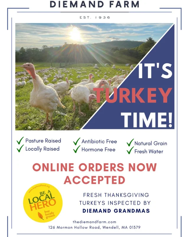 Thanksgiving is fast approaching, and if you haven't reserved your local, pasture-raised turkey yet, now’s the perfect time! Preorders are filling up, and we expect to stop taking orders by Monday 11/4, if not earlier.

Visit the link in our bio to place your order today. All orders must be placed online to streamline the process and ensure accuracy. Don’t wait too long – our turkeys go fast!
.
.
.
#diemandfarm #wendellma #farmstore #shoplocal #buylocal #grownheresoldhere #familyfarm #westernmass #franklincounty #pioneervalley #bealocalhero #othersidema #visitwesternma #igers413 #413life #thanksgiving #pastureraised #turkey @cisa_localhero